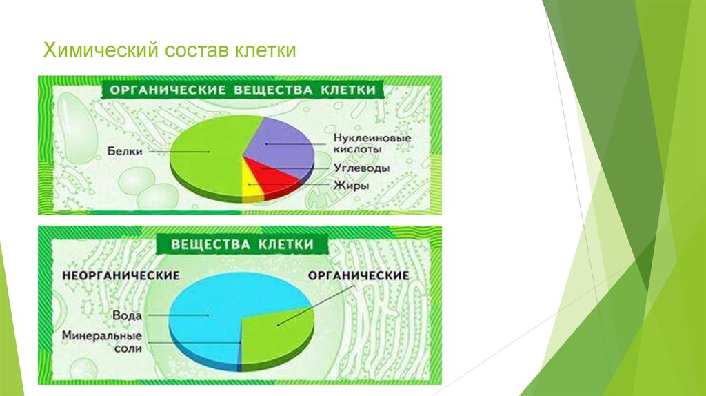 Химический состав клетки 5. Диаграмма неорганических веществ в клетке. Содержание химических веществ в клетке диаграмма. Химический состав клетки. Химический состав клетки вещества.