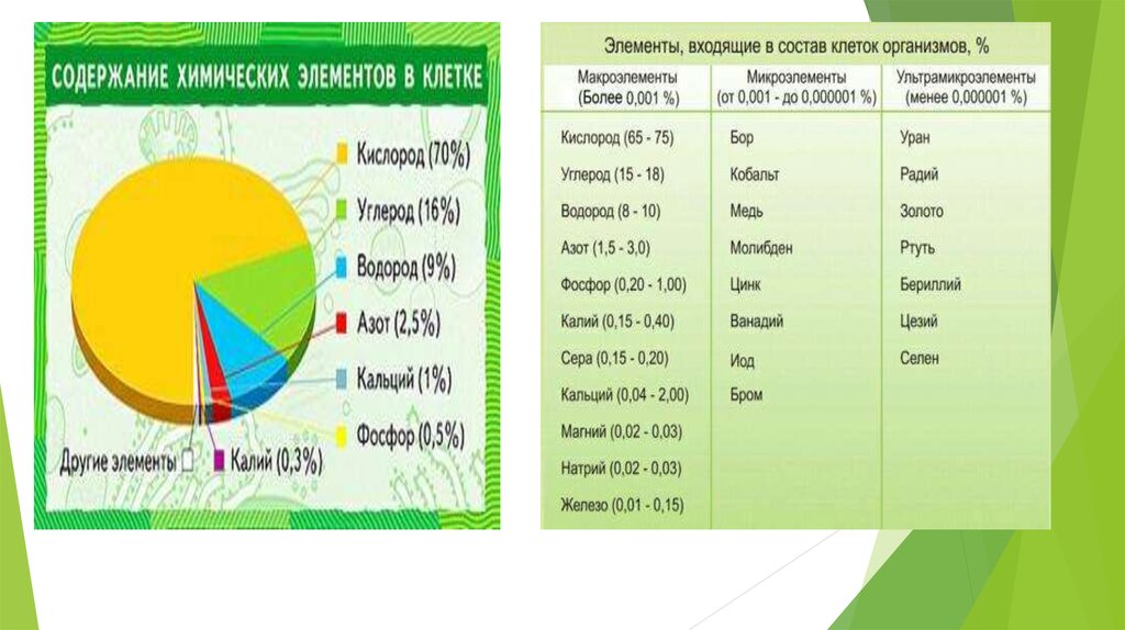 4 элемента входящие в состав клетки