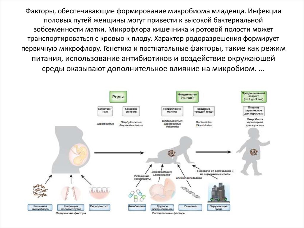 Микрофлора новорожденного. Формирование микробиома человека. Формирование микрофлоры новорожденного. Становление микробиома младенца. Формирование микробиоты новорожденных.