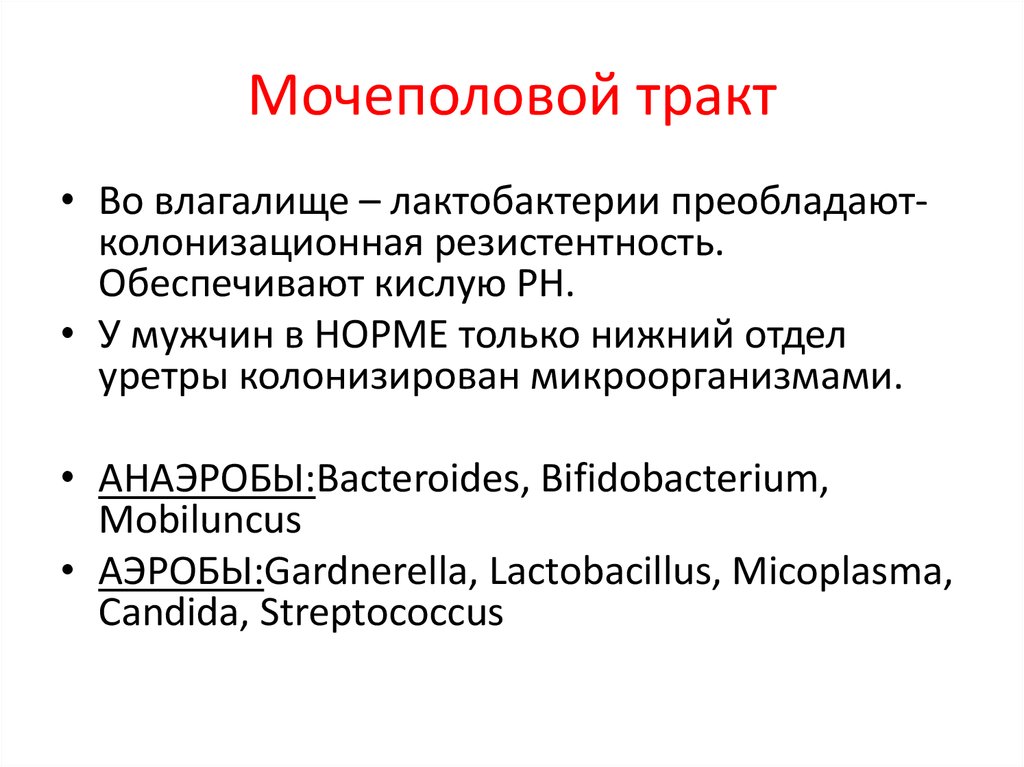 Урогенитальный тракт лейкоциты