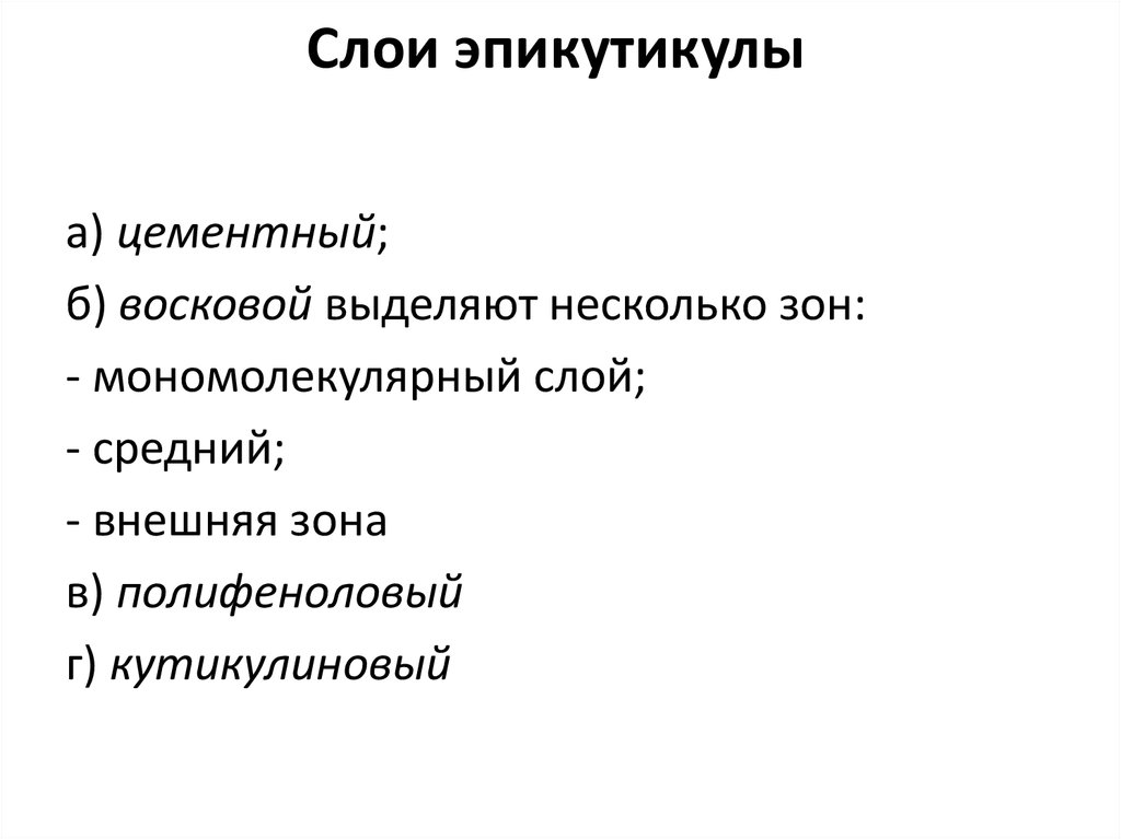 Слои эпикутикулы