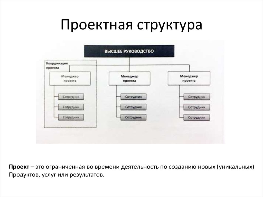 Структура организации презентация