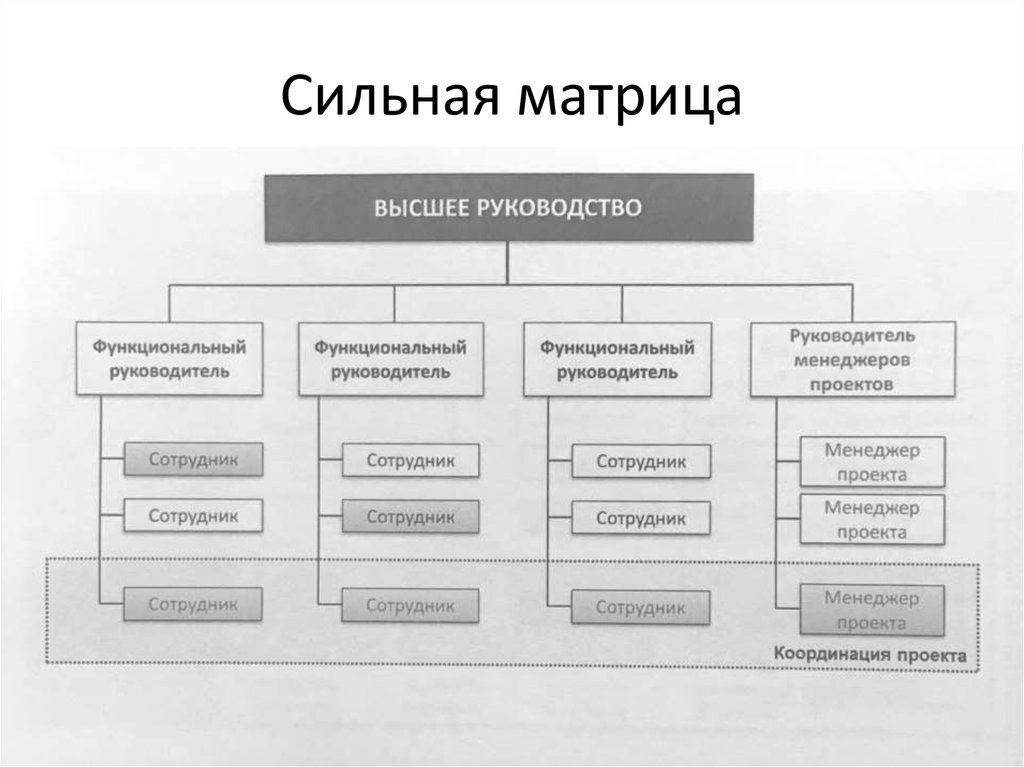 Сильная матричная структура проекта