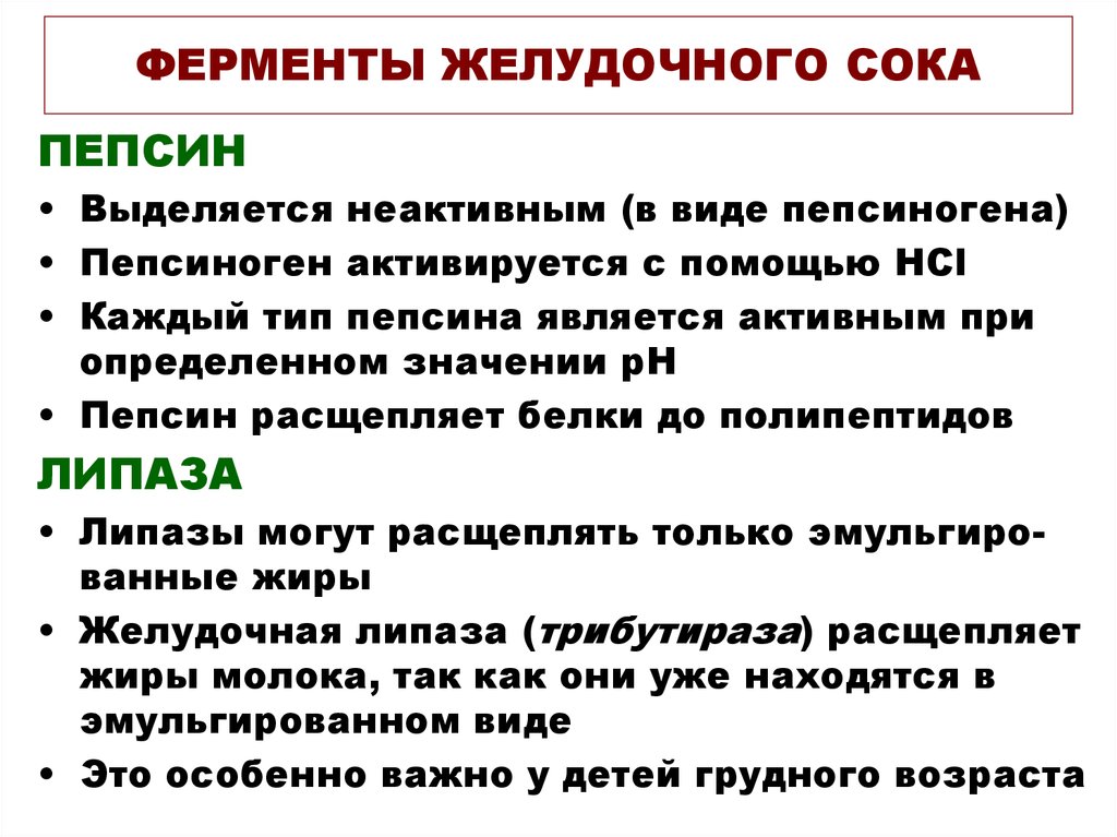 Функции желудочного сока