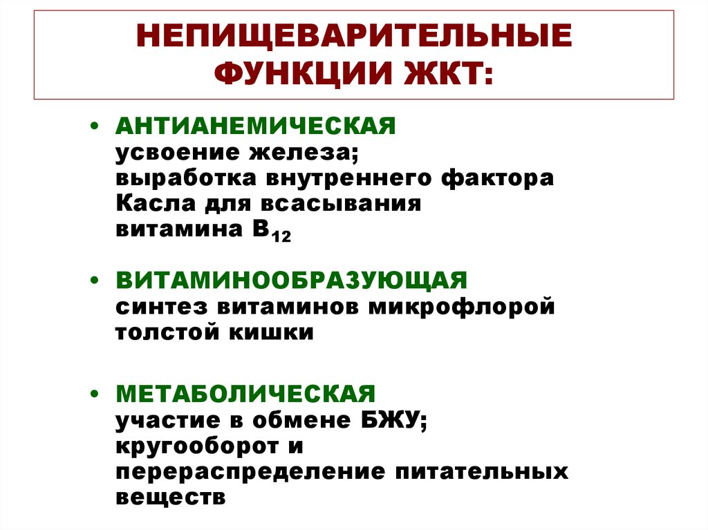 Функций пищеварительного канала. Антианемическая функция желудка. Функции ЖКТ. Защитная функция желудка. Функции пищеварительного тракта.