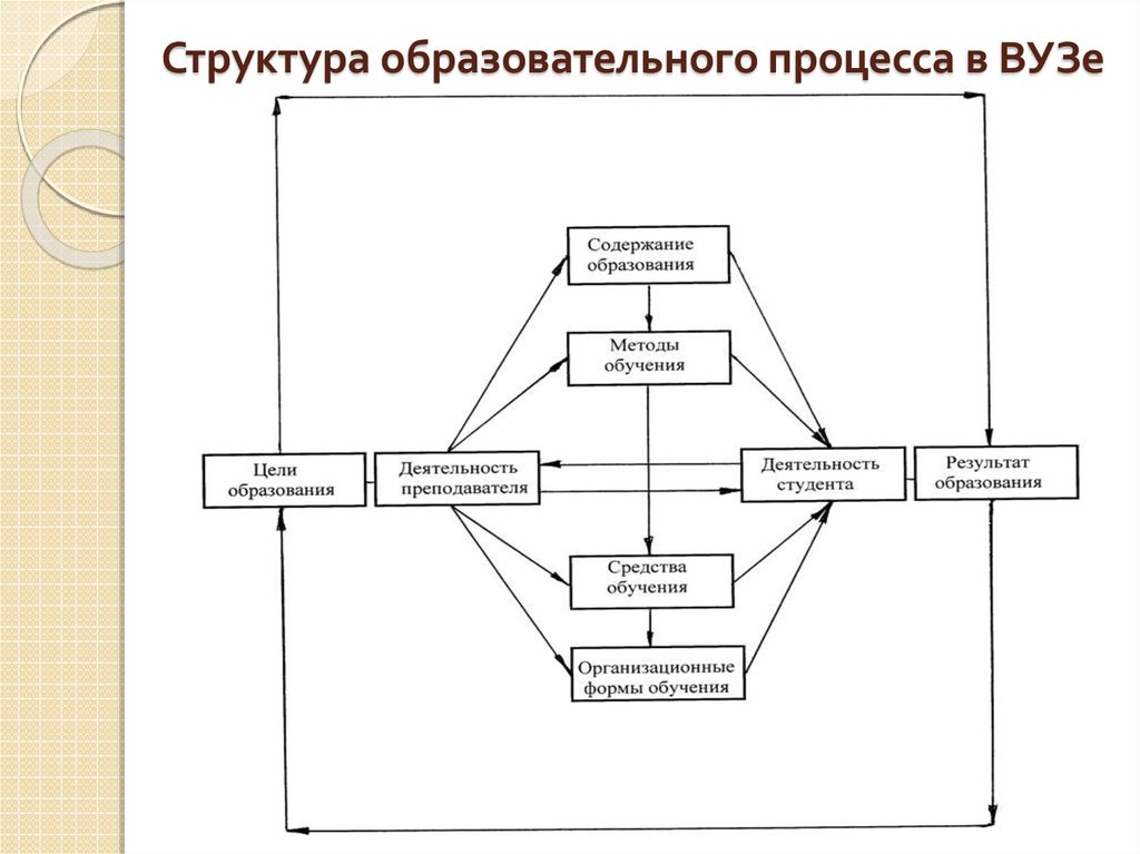 Структура образовательного процесса в ВУЗе