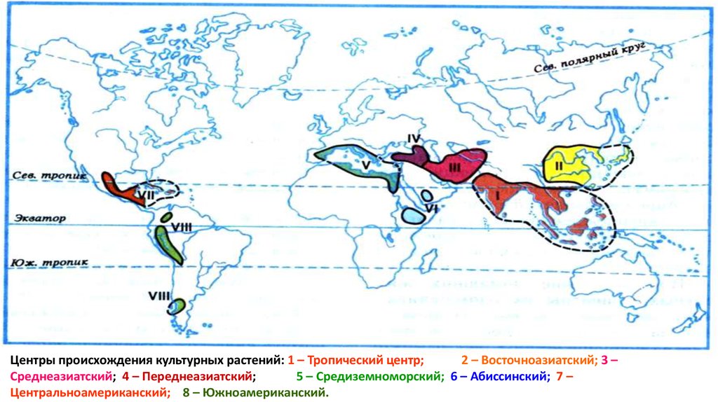 Время происхождения животных. Средиземноморский центр происхождения культурных растений на карте. Карта Вавилова центры происхождения культурных растений. Южно азиатский центр происхождения культурных растений. Центры происхождения животных Вавилов.