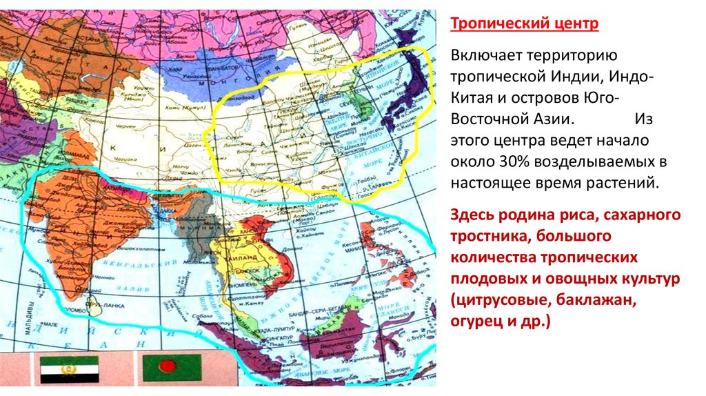 Тропический маршрут