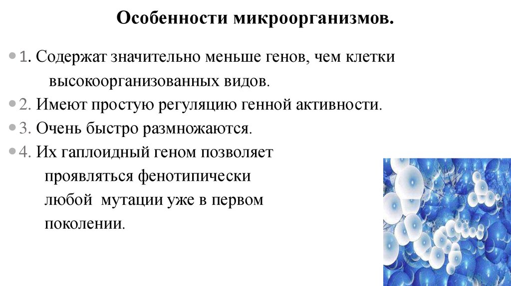 Главные особенности бактерий 6 класс география. Особенности бактерий. Особенности микроорганизмов. Характеристика микроорганизмов. Характеристика бактерий.