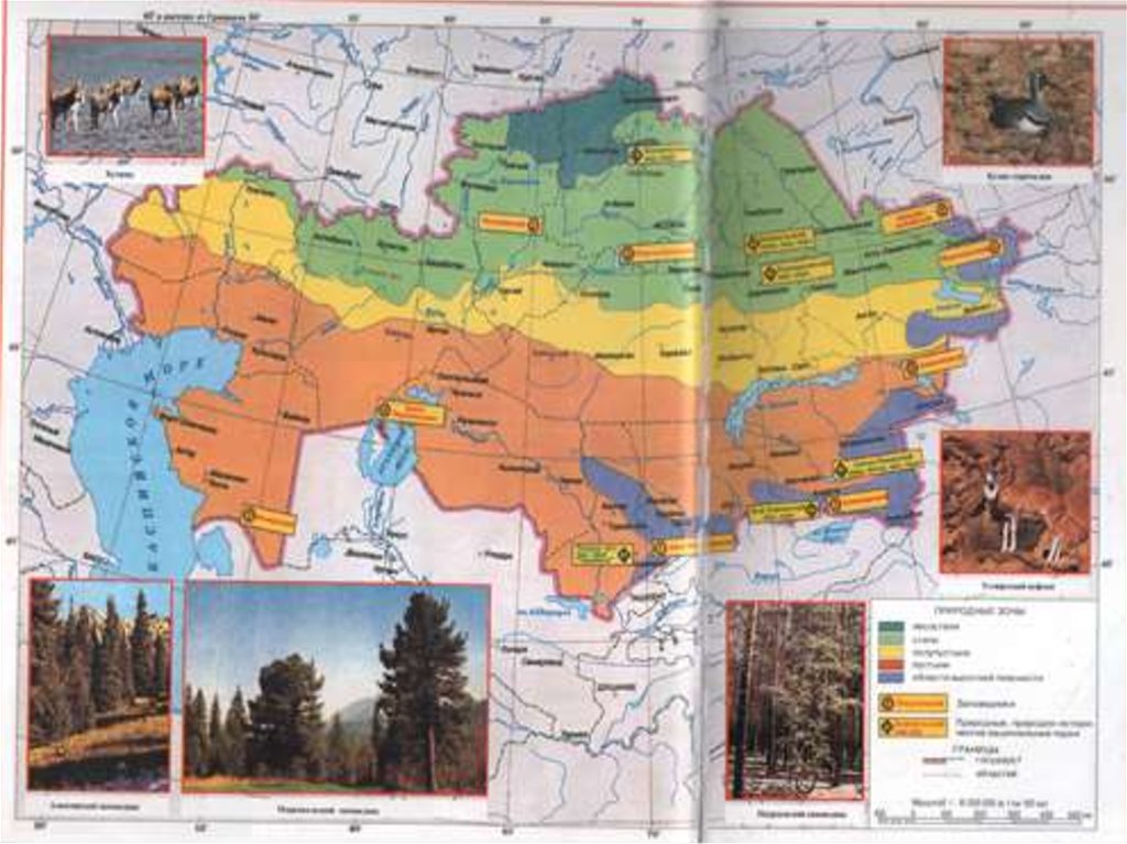 Природная карта казахстана