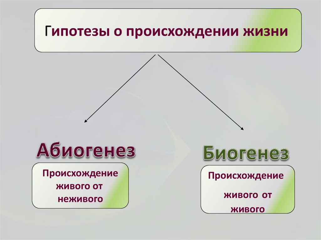 Расскажите о возникновении