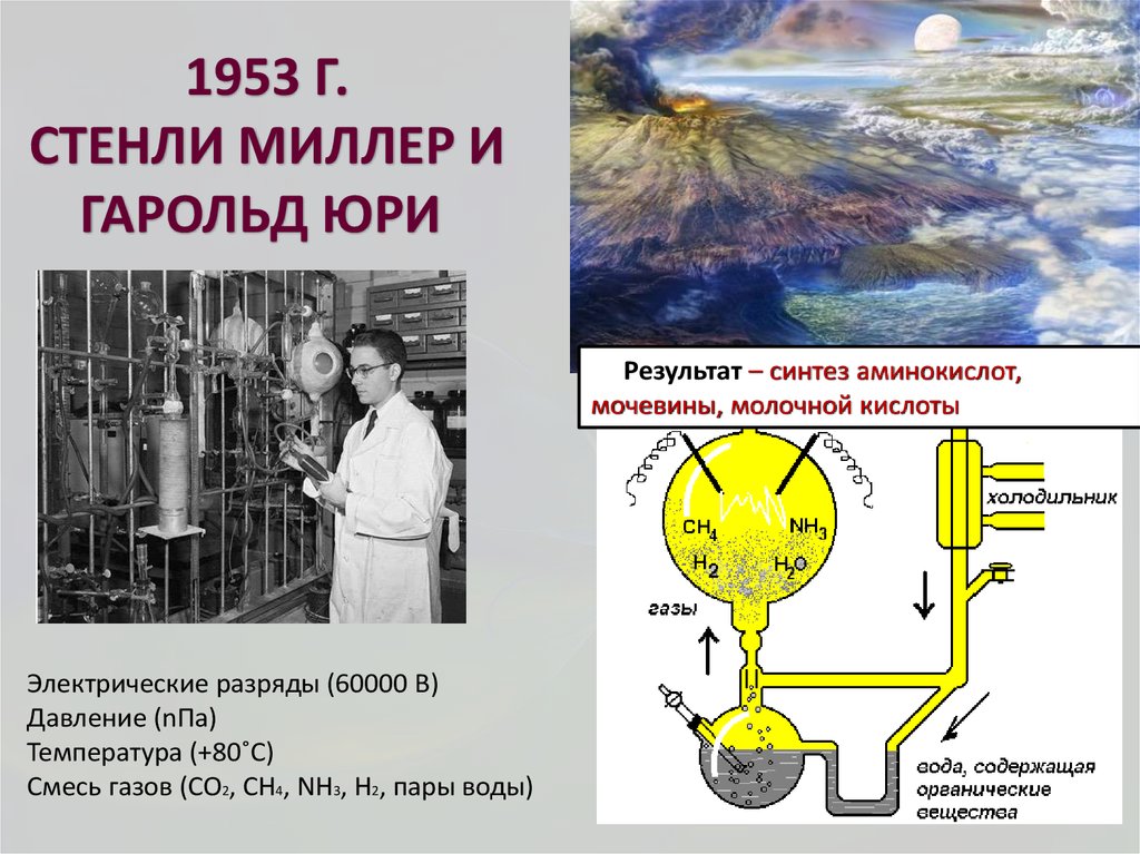 Опыты миллера доказали. Стэнли Миллер и Гарольд Юри в 1953 году. Эксперимент Миллера Юри и теория Опарина Холдейна. Стенли Милер 1953. Эксперимент Стэнли Миллера.