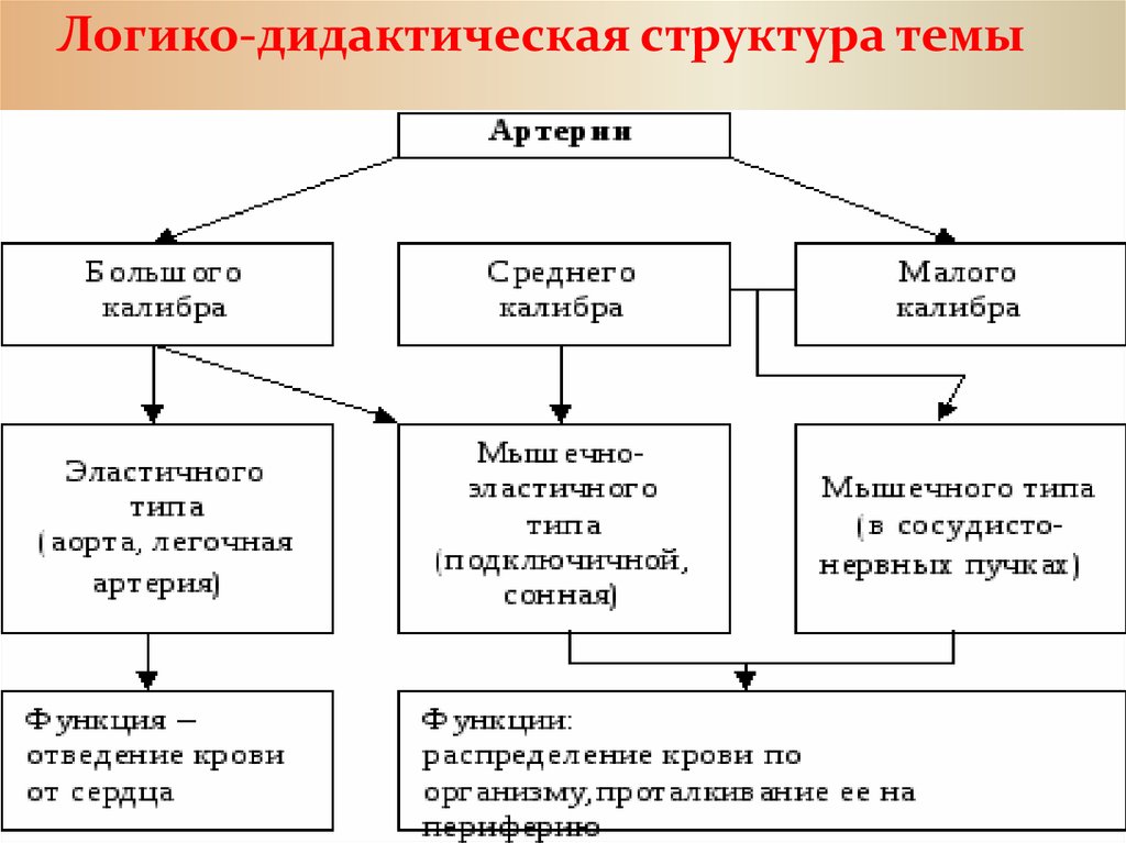 Логико структурная схема пример