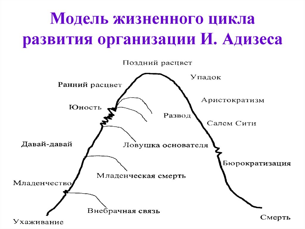 Организация ее жизненный цикл. Этапы жизненного цикла организации по Адизесу. Адизес стадии жизненного цикла. Жизненный цикл предприятия модели Адизес. Модель жизненного цикла по Адизесу.