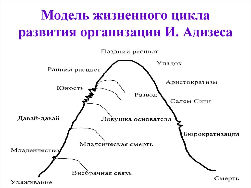 Модель и адизеса презентация