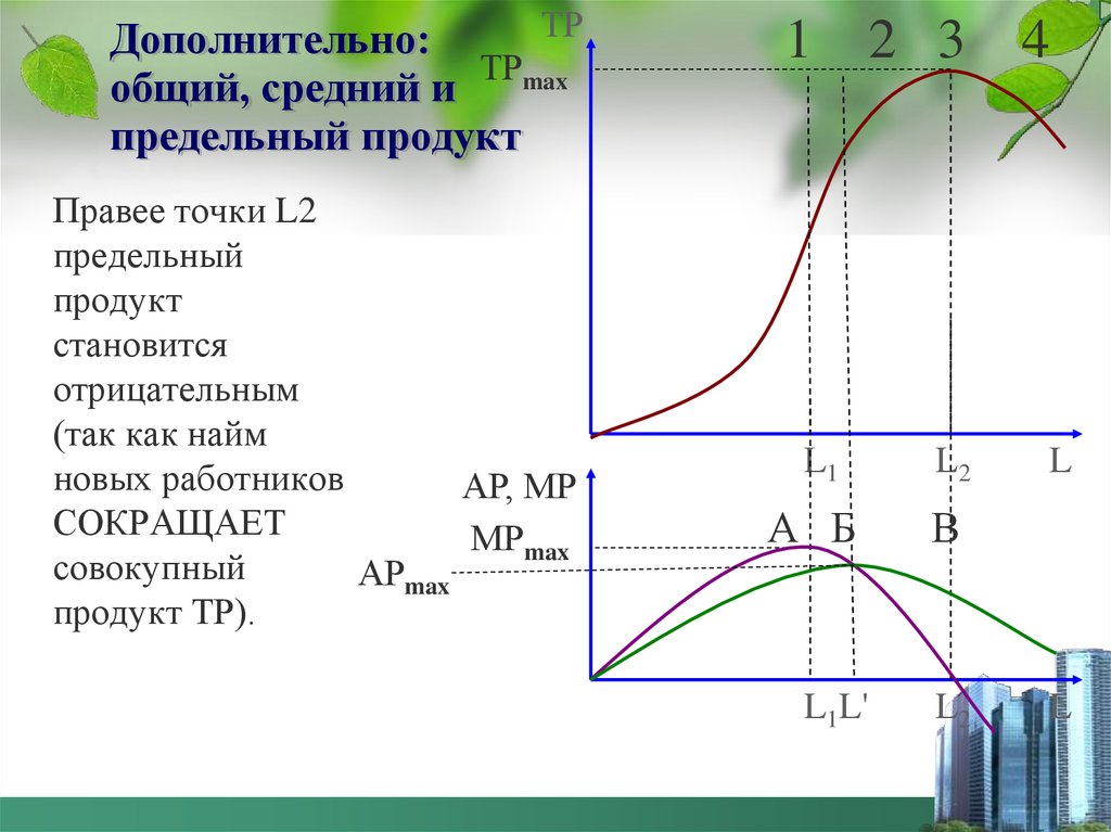 Предельный продукт фирмы. Совокупный средний и предельный продукт график. Предельный продукт труда график. Графики общего среднего и предельного продукта. Общего, среднего и предельного продукта.