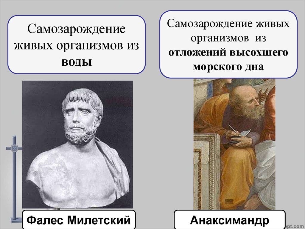 Анаксимандр представление о происхождении человека. Анаксимандр представление о происхождении. Анаксимандр Милетский фото.