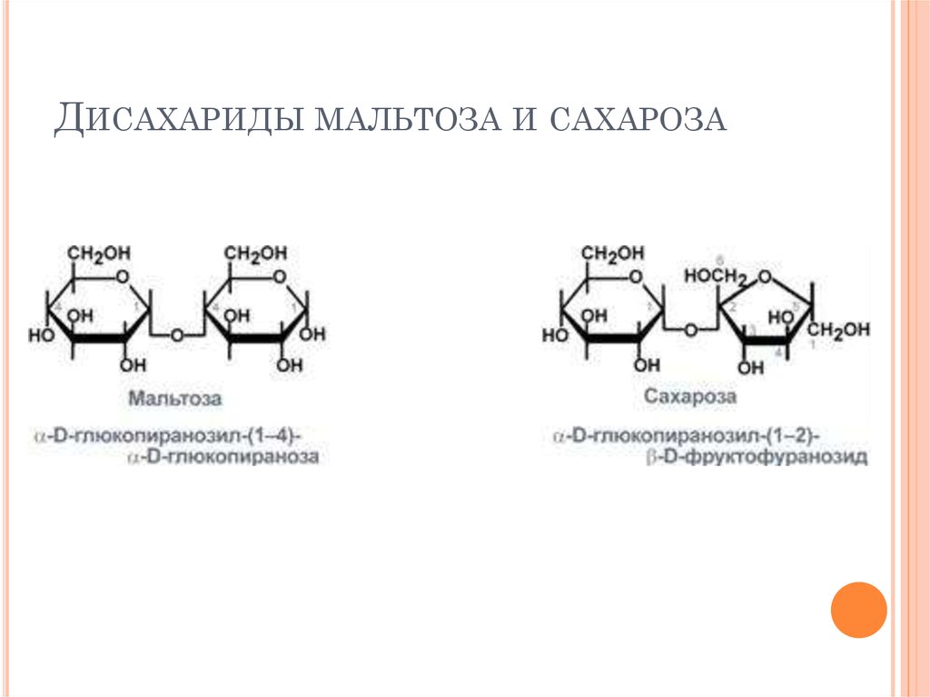 Как пройти экспертный экзамен у сахарозы. Отличие мальтозы от сахарозы. Отличие сахарозы мальтозы и лактозы. Сахароза и мальтоза формула. Дисахариды мальтоза лактоза сахароза.