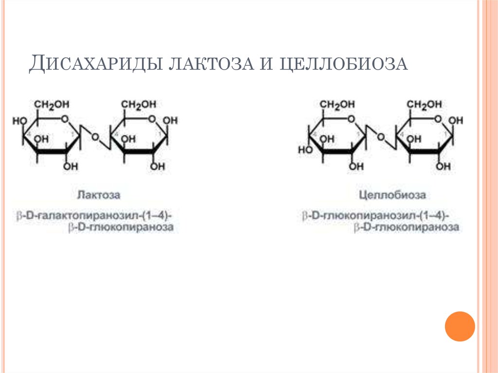 Целлобиоза формула. Бета целлобиоза. Целлобиоза химия. Целлобиоза конформация. Целлобиоза восстанавливающий дисахарид.