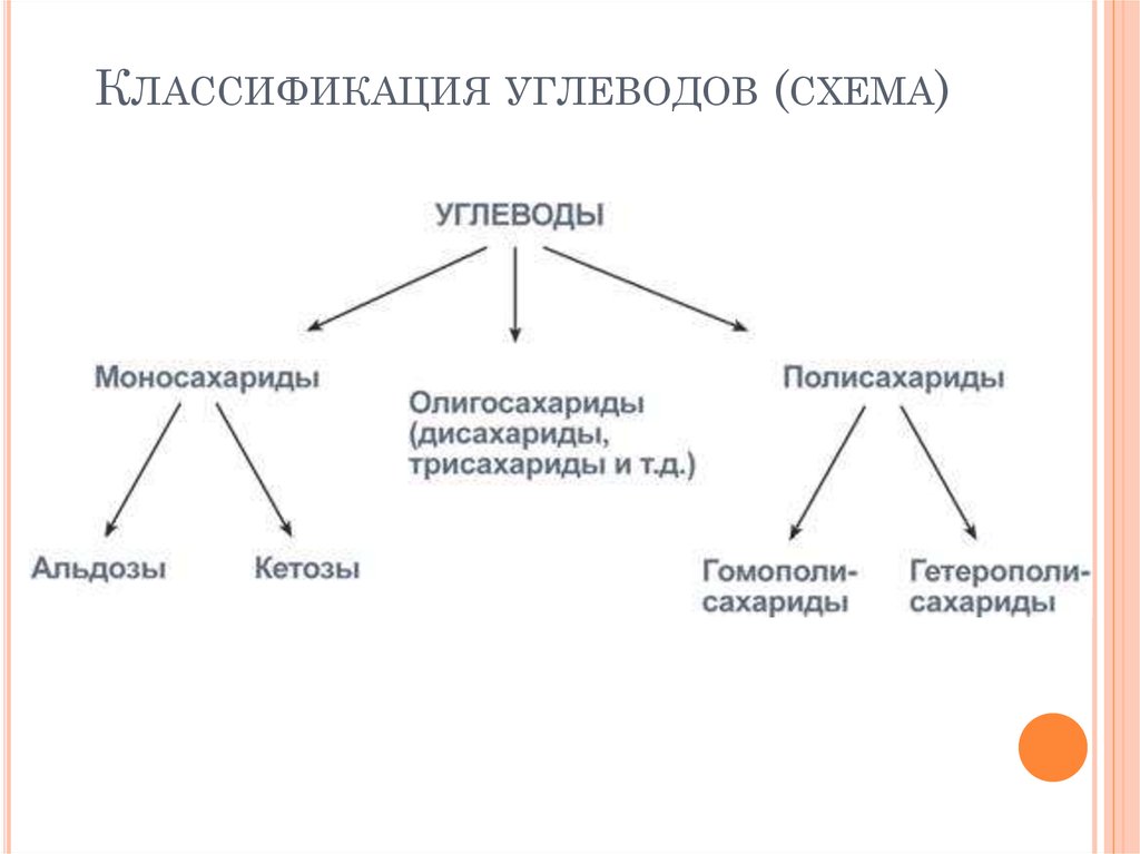 Классификация углеводов (схема)