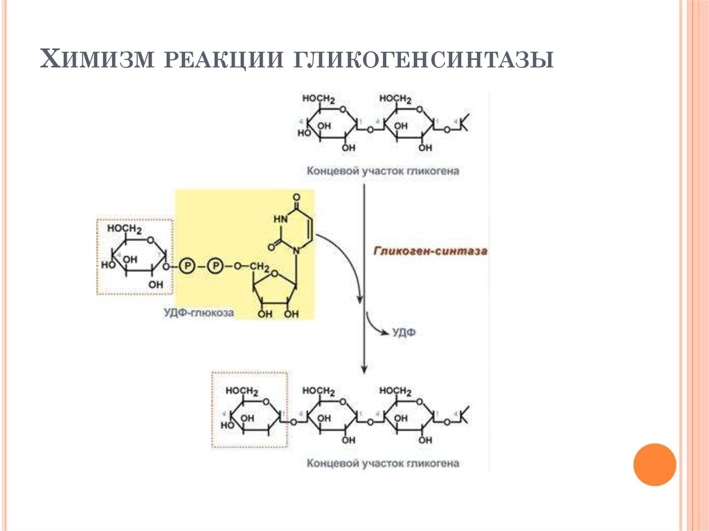 Химизм. Химизм реакции биохимия. Гликогенсинтаза реакция. Химизм реакции это. Химизм взаимодействия.