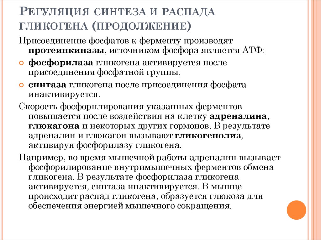 Синтез и распад. Регуляция синтеза гликогена. Регуляция распада гликогена. Регуляторные ферменты синтеза гликогена. Гормональная регуляция синтеза и распада гликогена.