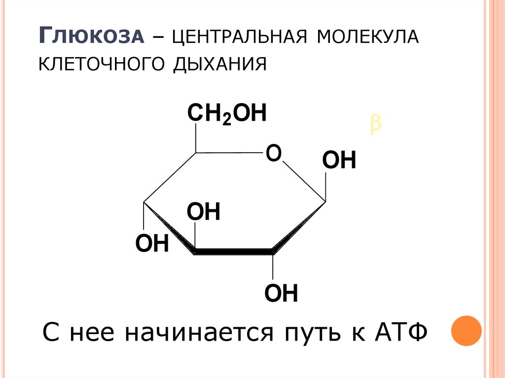 Глюкоза класс соединений. Модель молекулы Глюкозы. Глюкоза в химии молекула. Сахар это молекула Глюкозы. Атом Глюкозы.