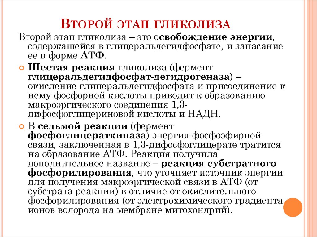 Активность окислительного фосфорилирования. Этапы окислительного фосфорилирования. Окислительное фосфорилирование формула. Окислительное фосфорилирование реакции. Функции окислительного фосфорилирования.