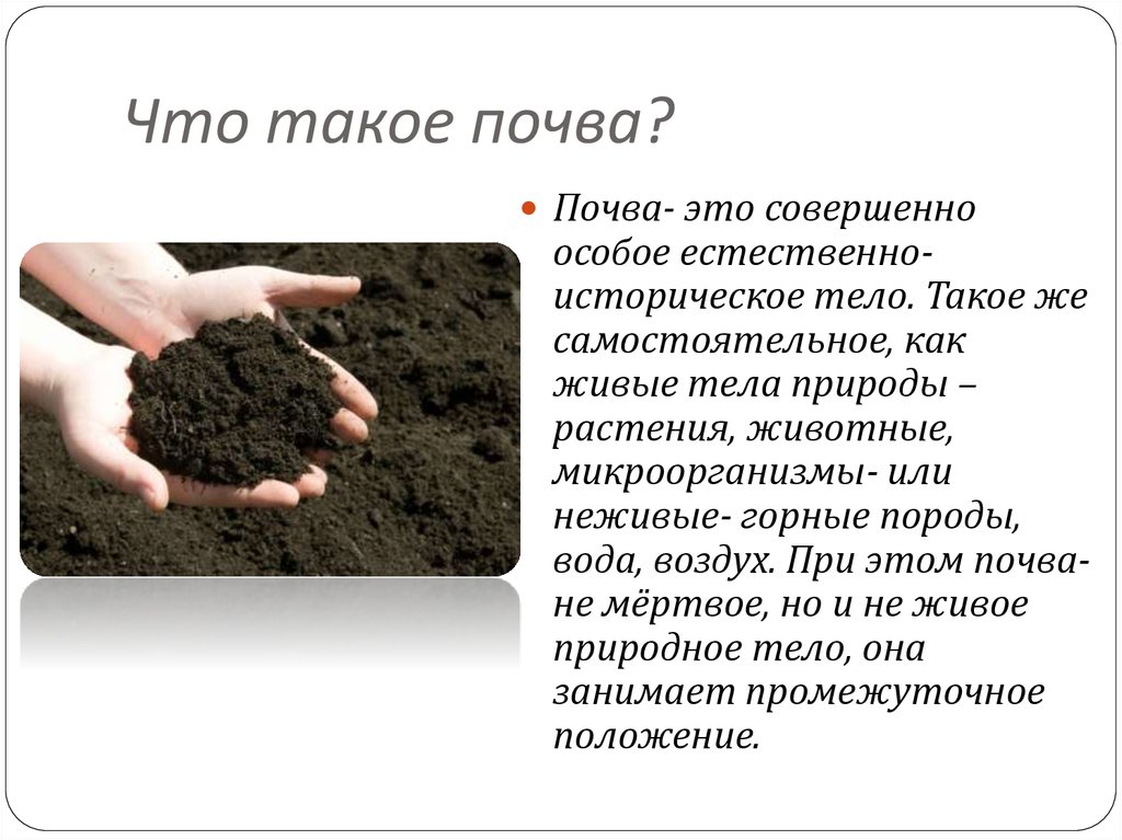 Почва это какое вещество. Почва. Чтомиакое почва. Сообщение о почве. П-ова.