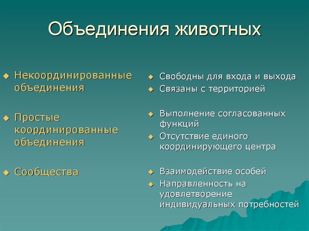 Объединение животных. Причины объединения животных в семьи. Виды объединений у животных. Формы групповых объединений животных и растений.