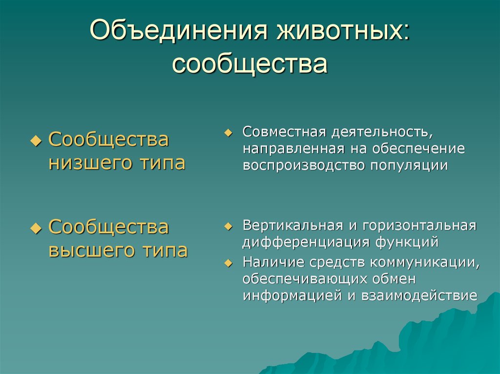 Объединение животных. Формы групповых объединений животных и растений. Причины объединения животных в семьи. Виды объединений у животных.