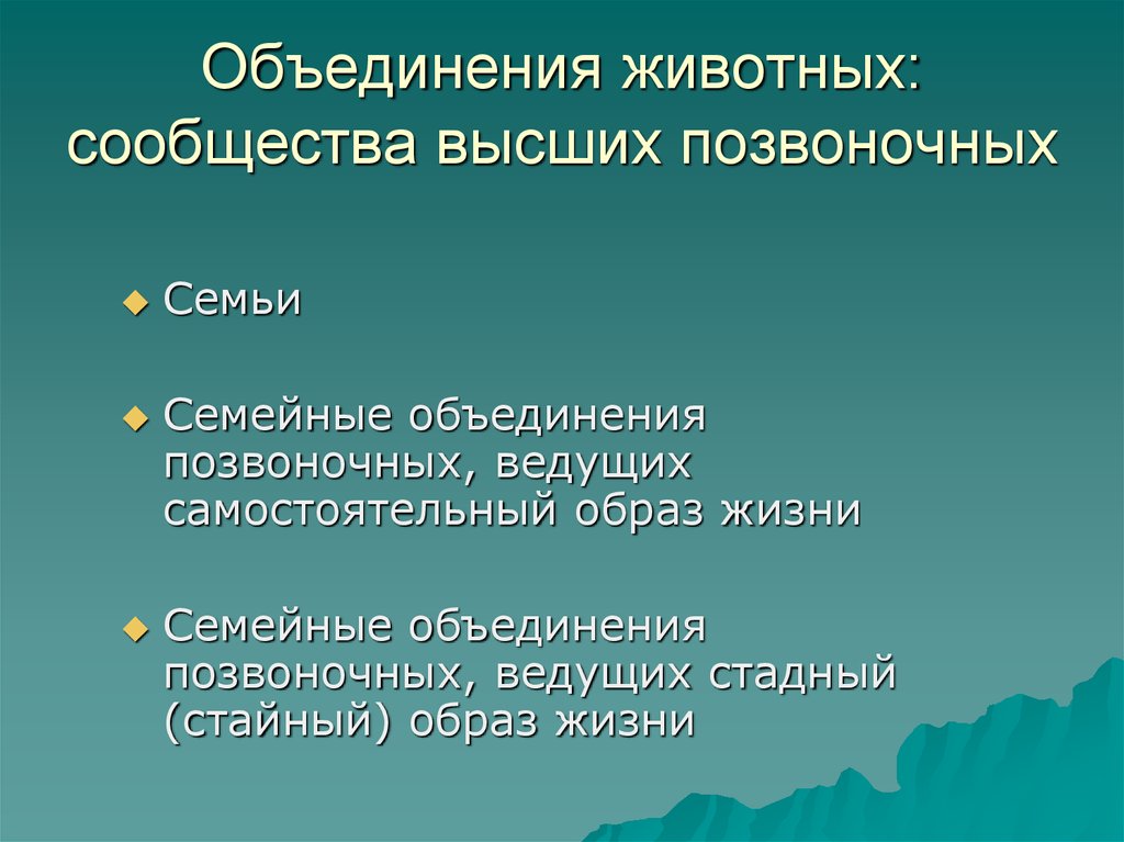 Объединение животных. Высшие позвоночные животные. Виды объединений у животных. Причины объединения животных в семьи.