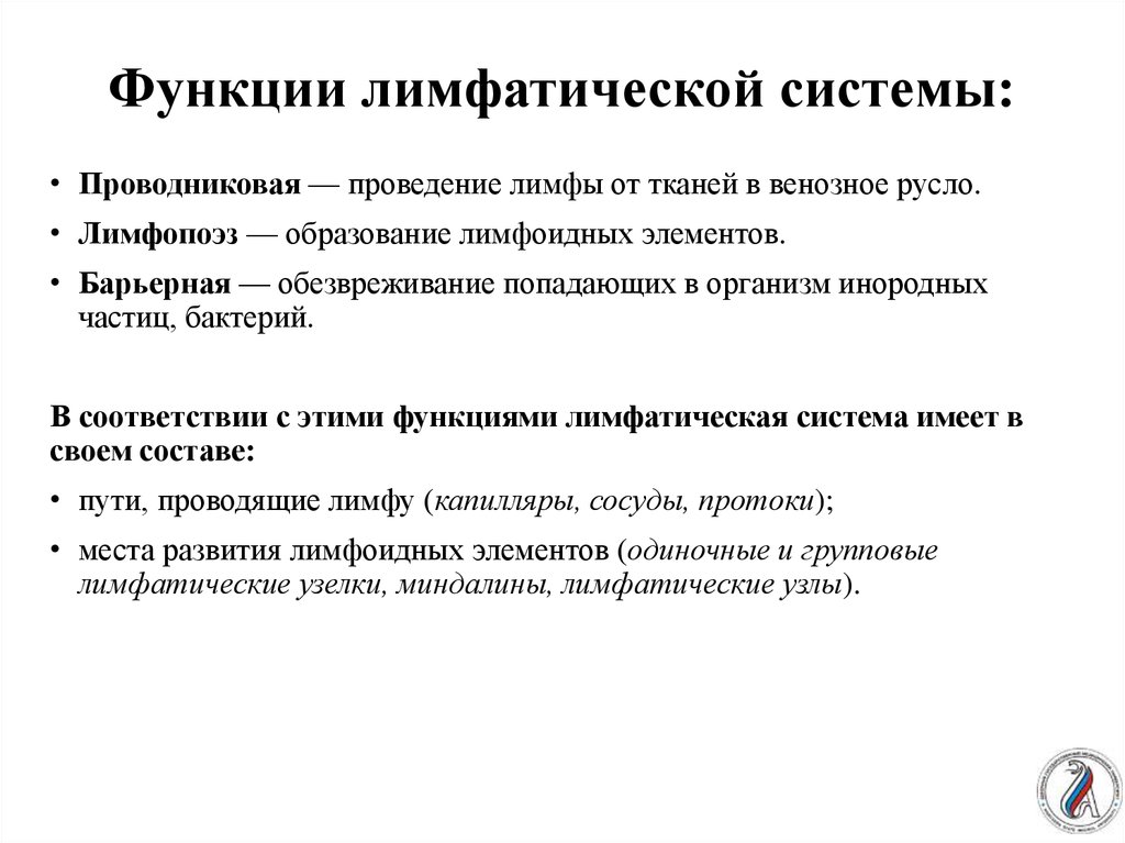 Функции выполняет лимфа в организме человека