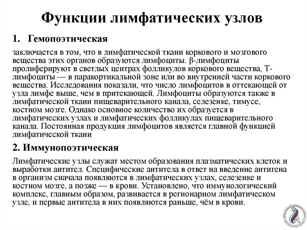 Лимфатические узлы функции. Функции лимфатических узлов. Лимфоузлы функции. Роль лимфатических узлов. Функции лимфотическогоц ЗГЛА.