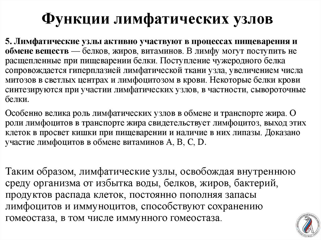 Лимфатические узлы функции. Функции лимфатических узлов. Какую функцию выполняют лимфатические узлы. Основная функция лимфатических узлов. Функции лимфатической лимфатических узлов.