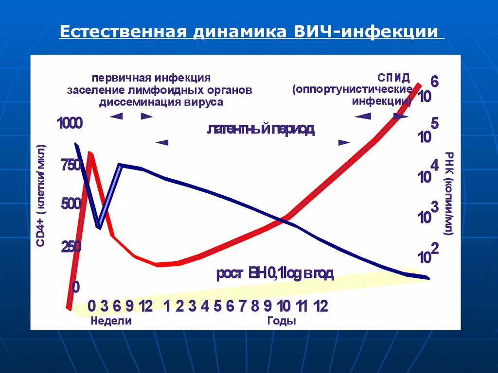 Вирус спид и человек динамика борьбы презентация