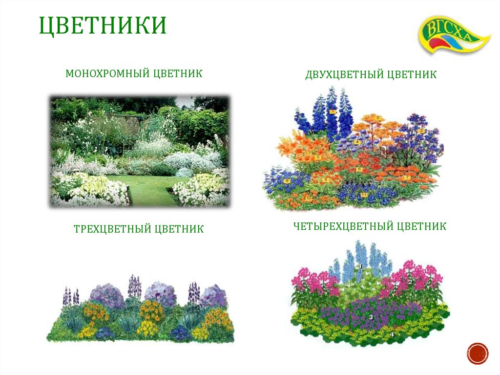 цветники