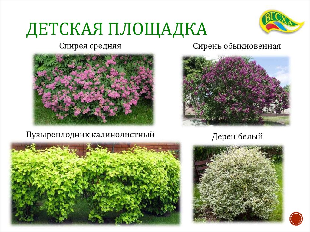 Детская площадка