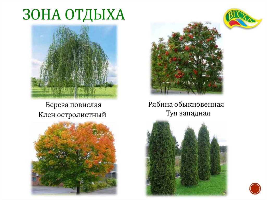 Зона отдыха