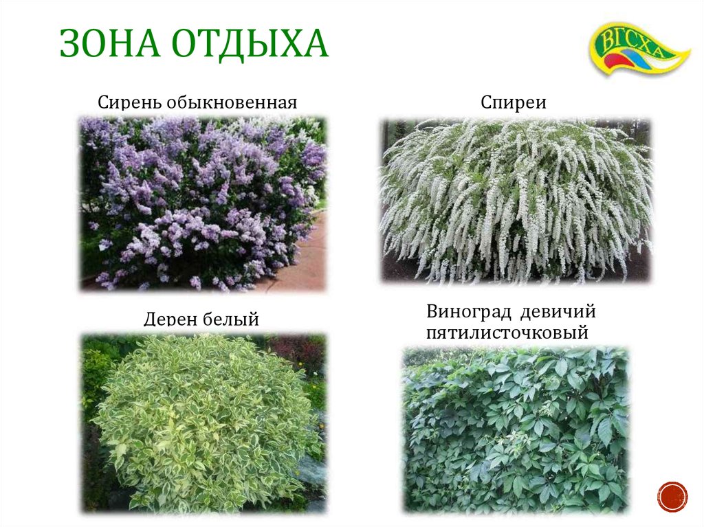 Зона отдыха