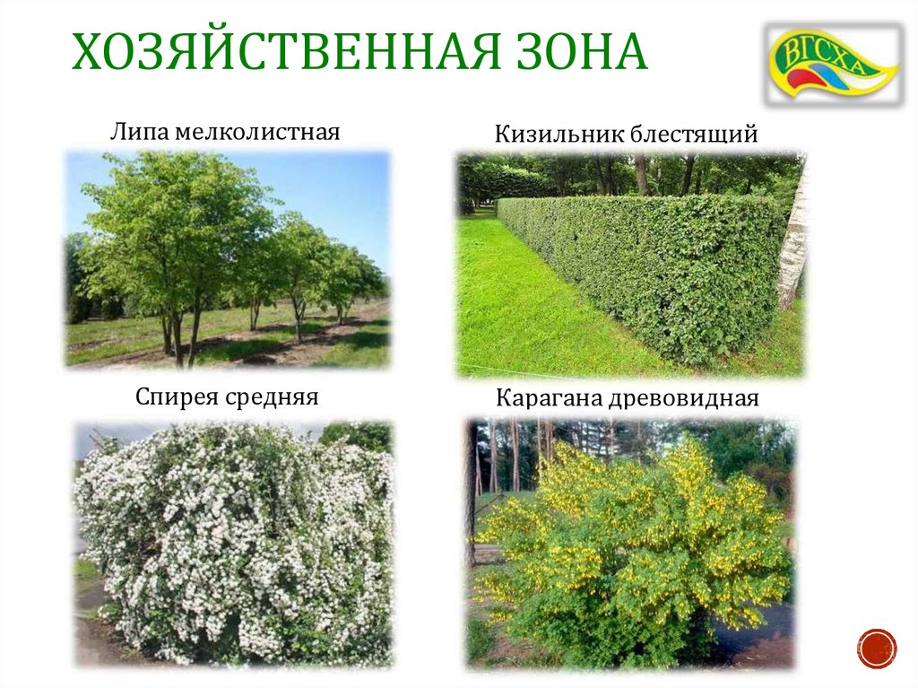 Хозяйственная зона