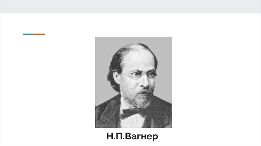 Н П Вагнер. Вагнер н.п портрет писателя.