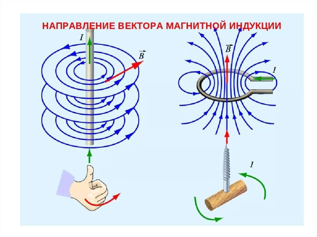 Направление линий магнитной индукции