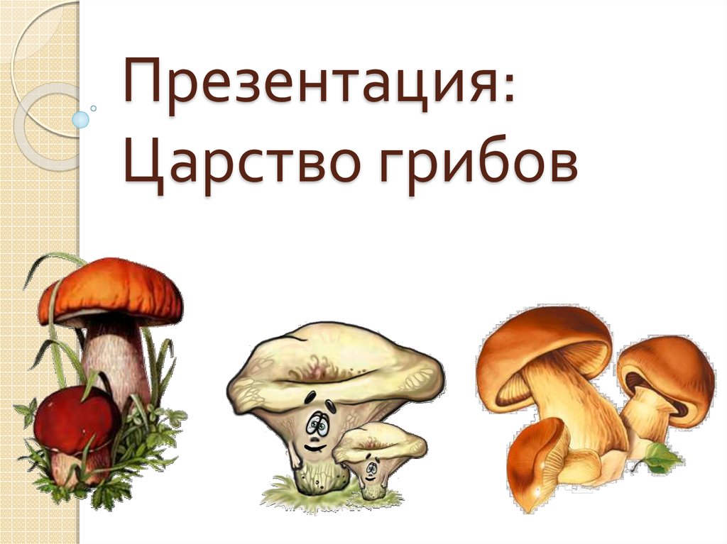 Есть царство грибов. Царство грибов презентация. Царство грибы. Презентация по биологии царство грибов. Царство грибов 3 класс.