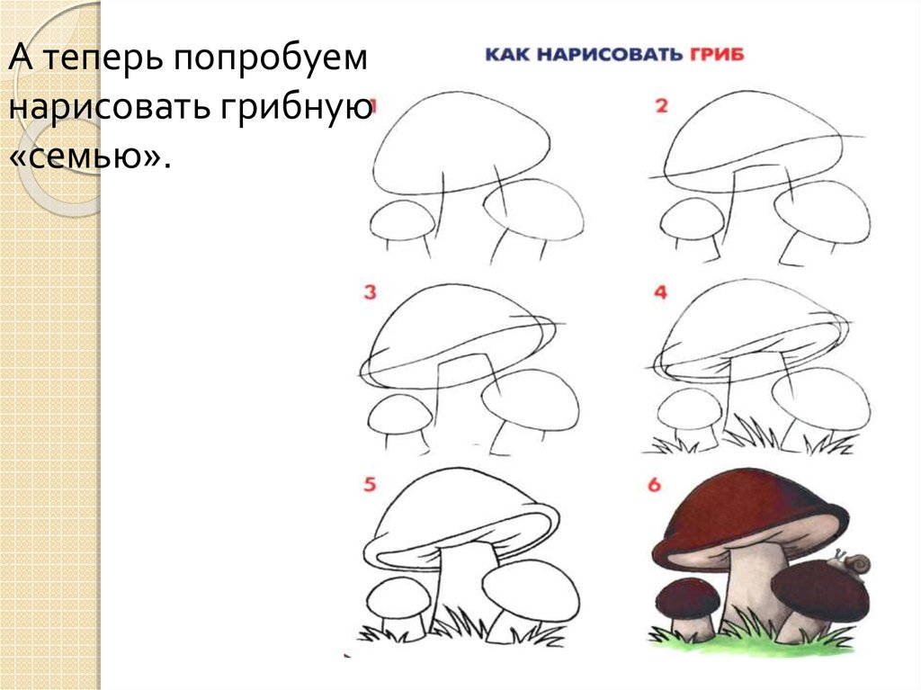 Нарисовать грибы 3 класс окружающий мир. Поэтапное рисование гриба. Как нарисовать гриб. Рисунки грибов карандашом.