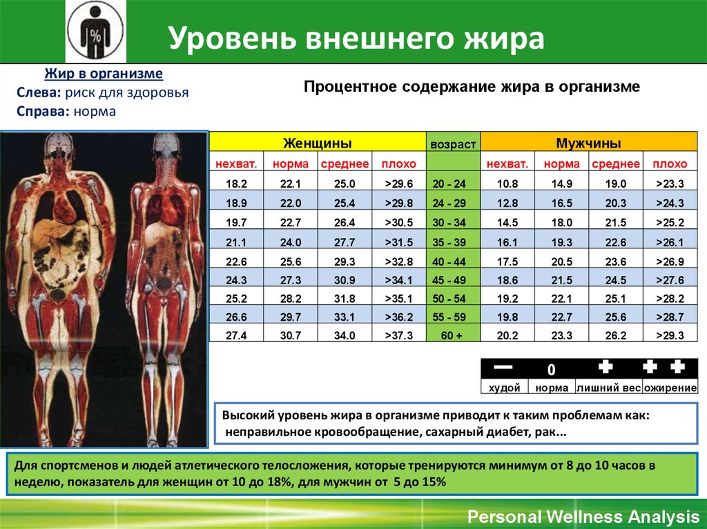 Расчет процента жира в организме