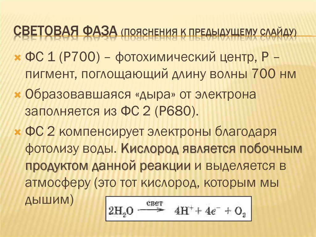 Фаза световой волны. Фотосинтез и хемосинтез 10 класс. Р700 пигмент. Фотохимический центр это. Р700 и р680 это пигменты-сборщики Квантов света.