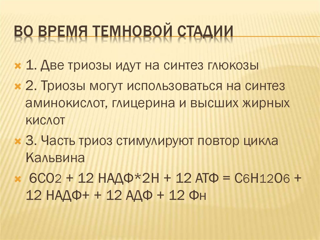 Хемосинтез презентация