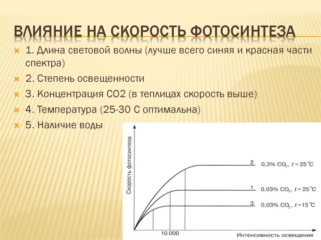 Как изменится интенсивность дыхания и интенсивность фотосинтеза. Влияние различных факторов на скорость процесса фотосинтеза. Факторы влияющие на скорость фотосинтеза. Влияние температуры на фотосинтез. Зависимость скорости фотосинтеза от освещенности.