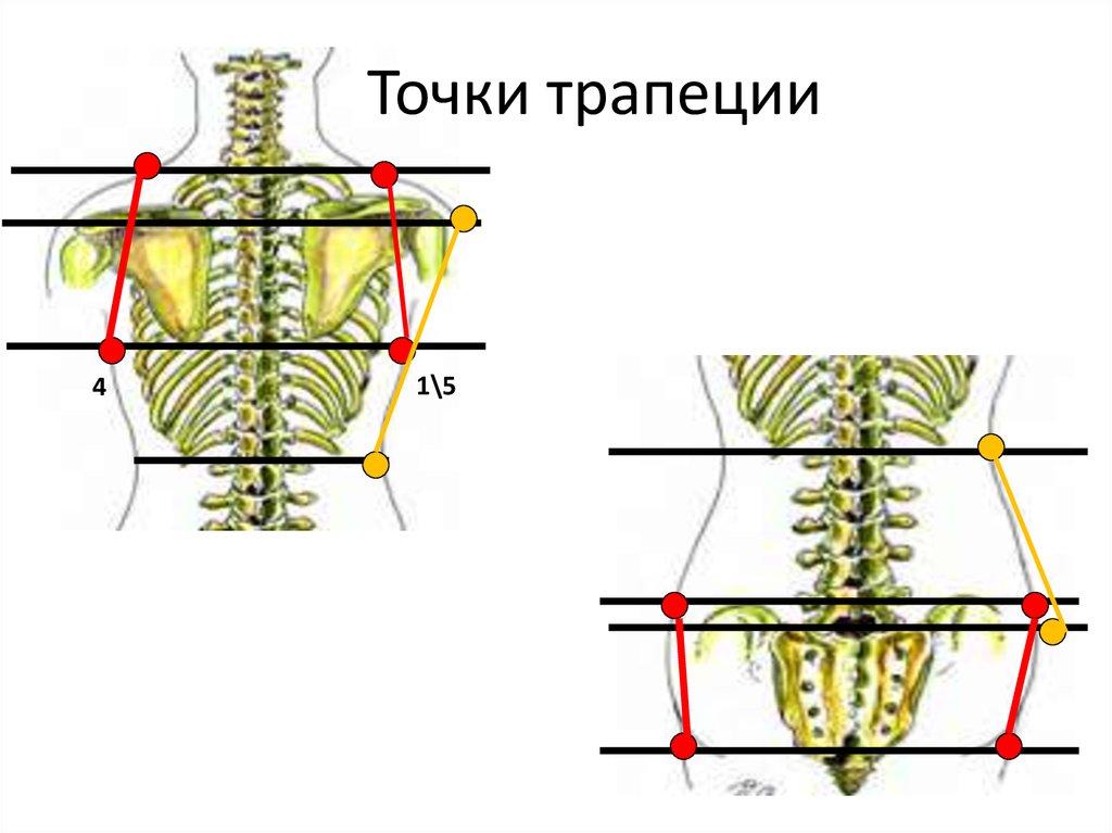 Точки трапеции